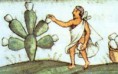/album/fotogaleria-inicio/portada5-jpg/